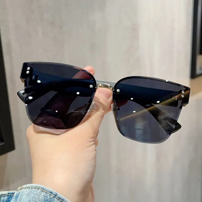 Tinted Lenses Rimless Sunglasses - Black